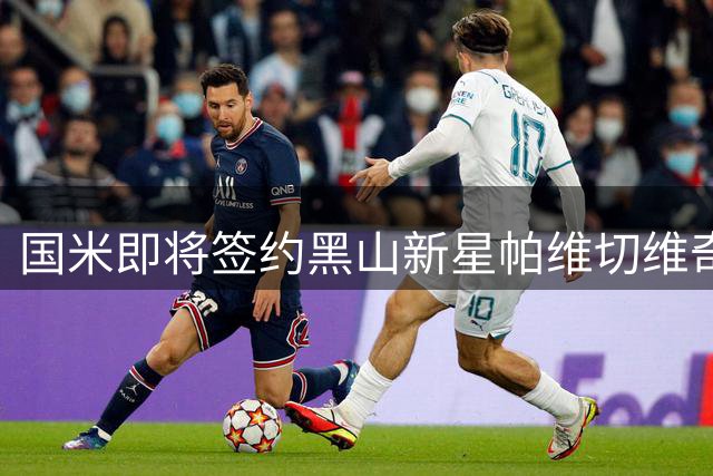 国米即将签约黑山新星帕维切维奇